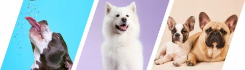 2Dog Mini Kiełbaski JELEŃ 1 Kg