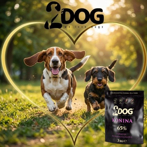 2DOG półwilgotna monoproteinowa karma dla psa z koniną 65% 3 kg