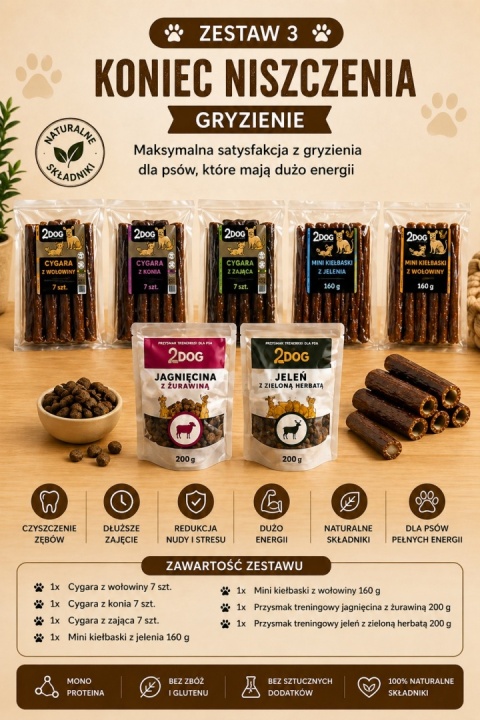 Zestaw: Koniec niszczenia – premium