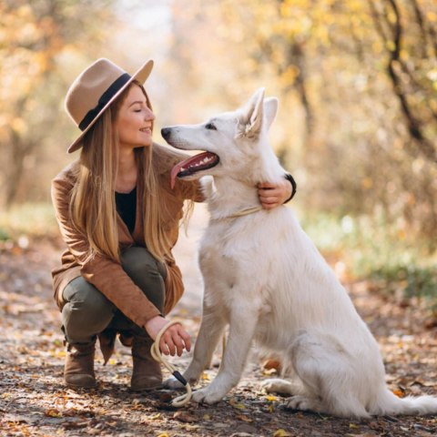 2DOG Sarna 800 g — monobiałkowa karma mokra dla psa
